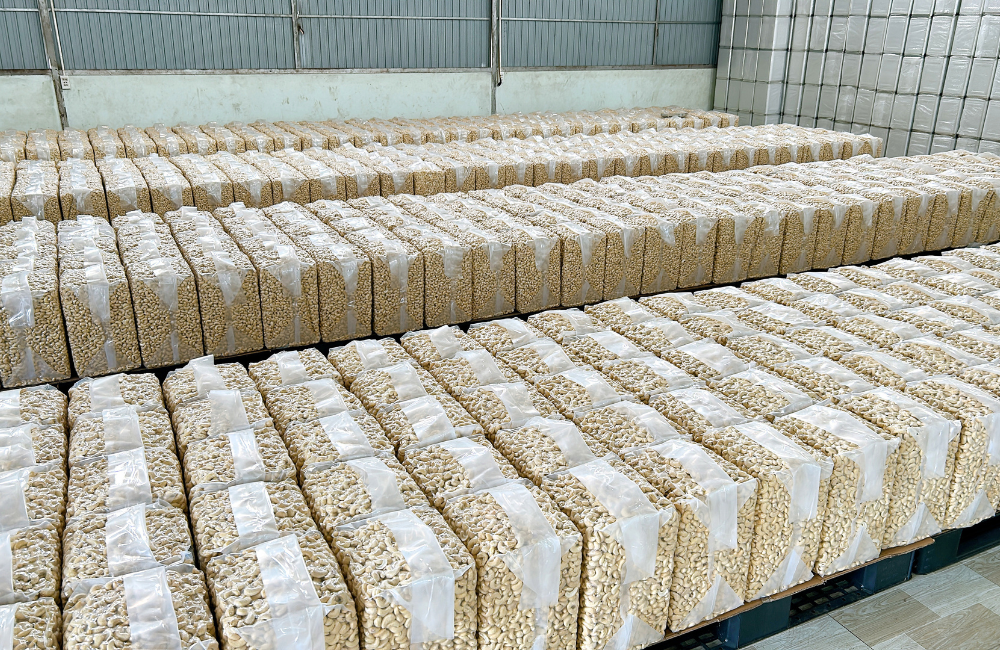 Hạt điều nhân trắng WW180